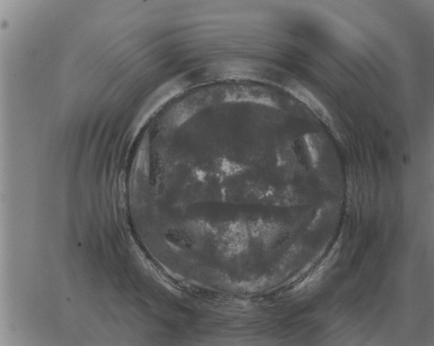 X0000062850798200601272040