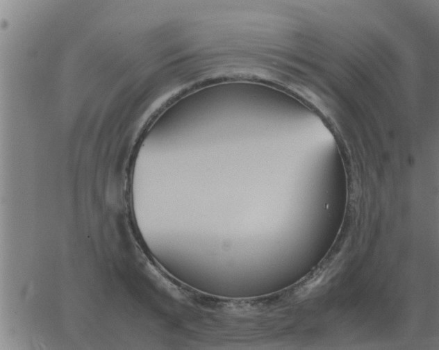 X0000062850799200601272040