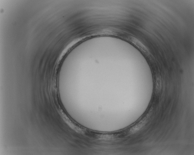 X0000062850800200601272040