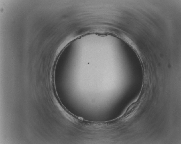 X0000062850803200601272040