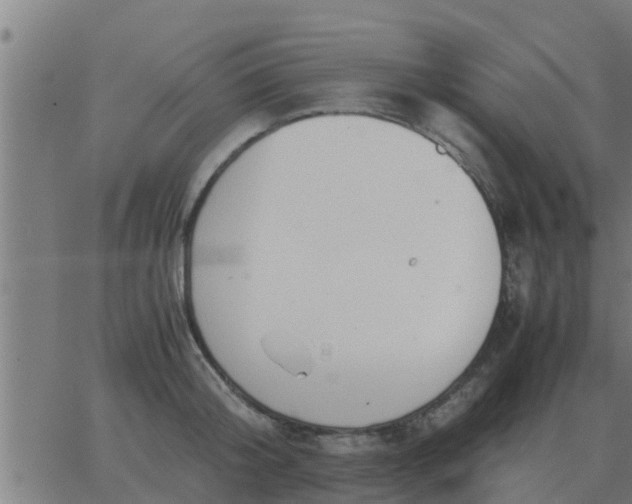 X0000062850804200601272040