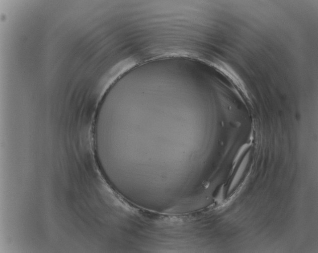 X0000062850806200601272040