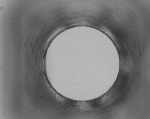 X0000062850807200601272040