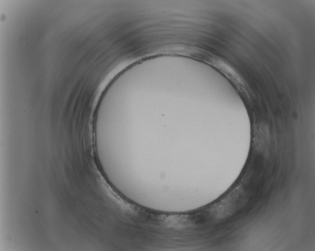 X0000062850808200601272040