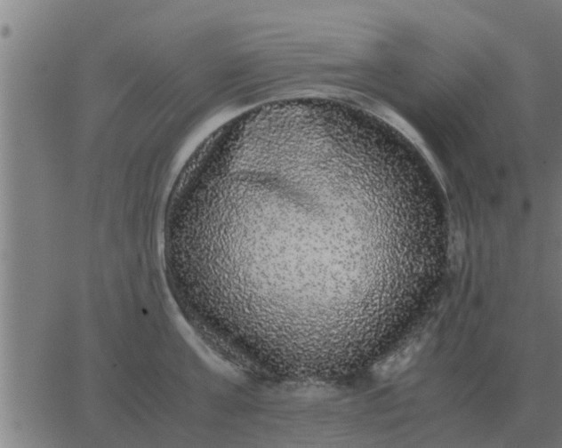 X0000062850811200601272040