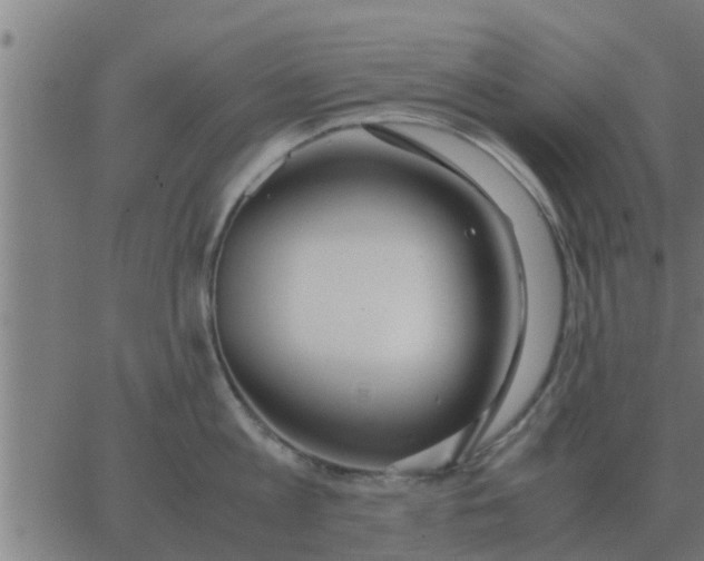 X0000062850813200601272040