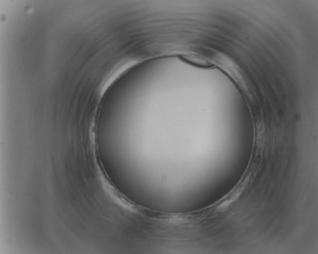 X0000062850814200601272040