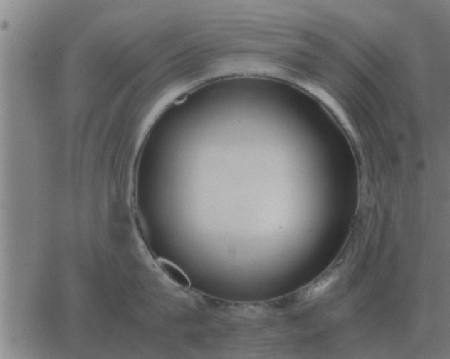 X0000062850815200601272040