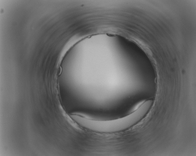 X0000062850816200601272040