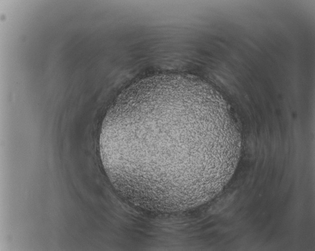 X0000062850817200601272039