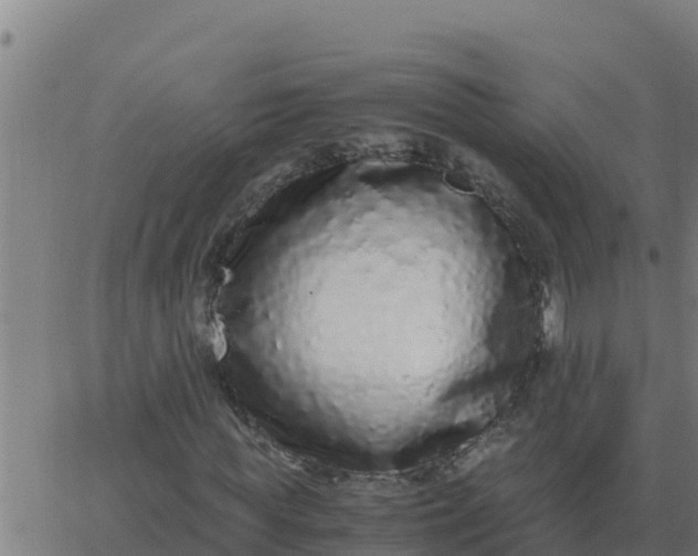 X0000062850819200601272039