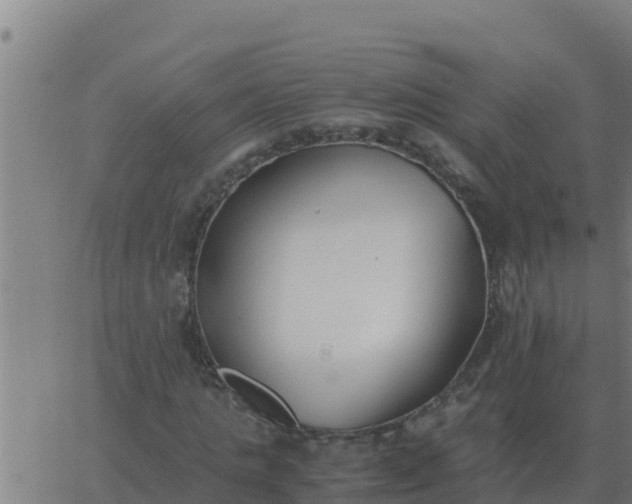 X0000062850821200601272039