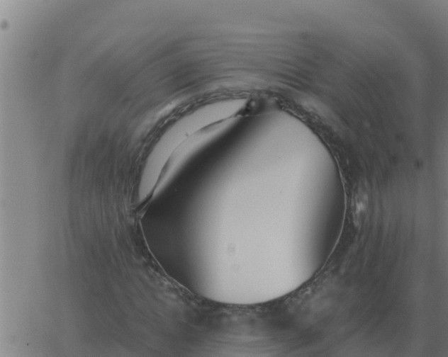 X0000062850822200601272039