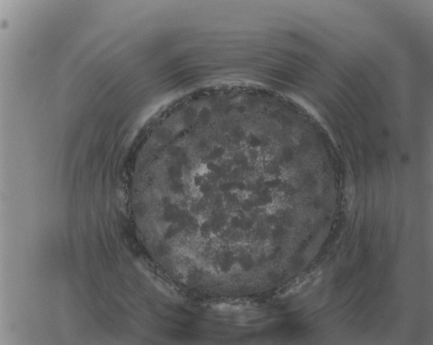 X0000062850823200601272039