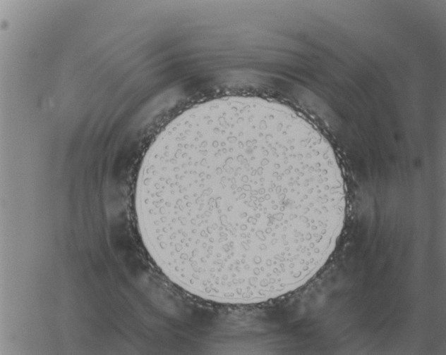 X0000062850824200601272039