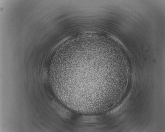 X0000062850825200601272039