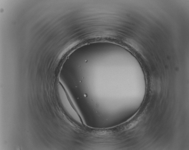 X0000062850826200601272039