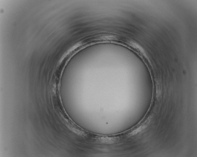 X0000062850827200601272039