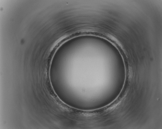 X0000062850829200601272039