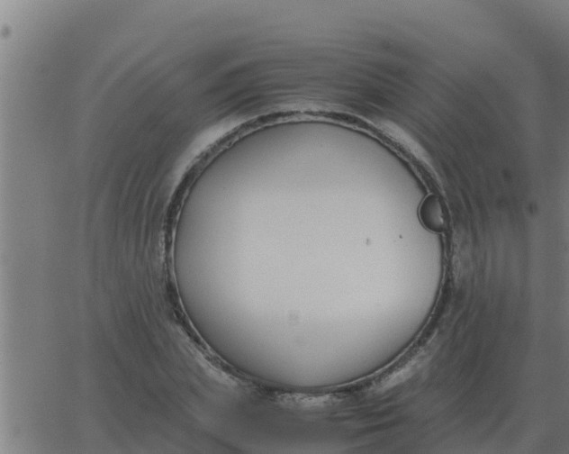 X0000062850831200601272039