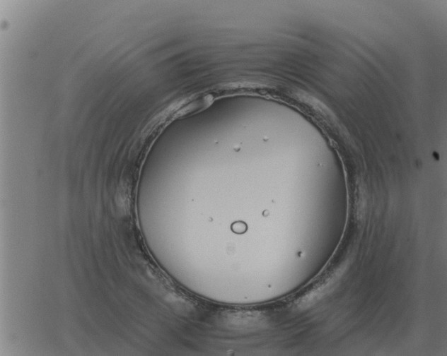 X0000062850833200601272039