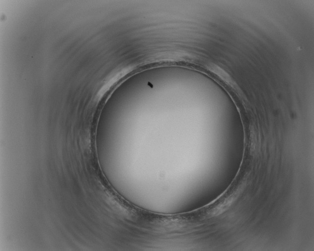 X0000062850834200601272039