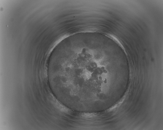 X0000062850835200601272039