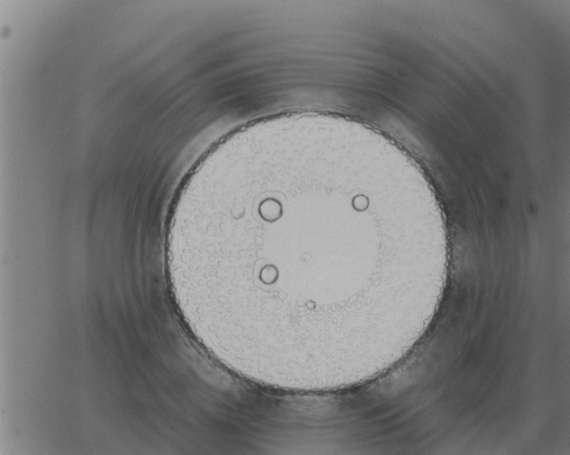 X0000062850836200601272039