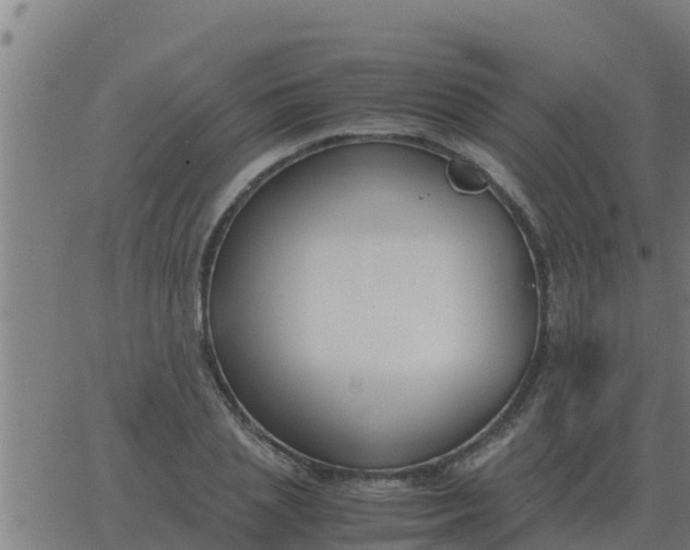 X0000062850837200601272039