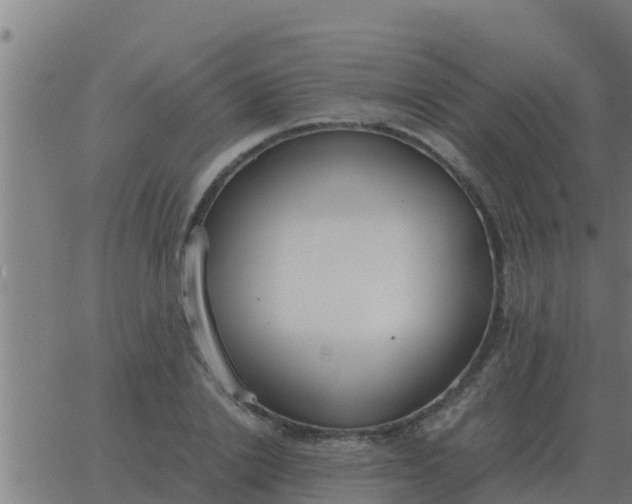 X0000062850838200601272039