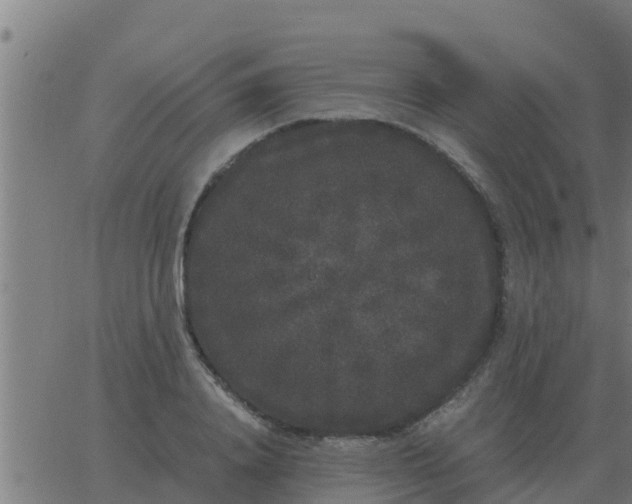 X0000062850840200601272039