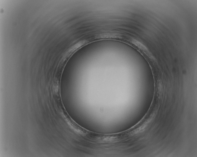 X0000062850841200601272039