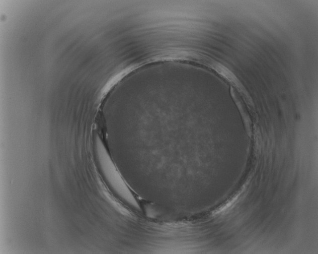 X0000062850842200601272039