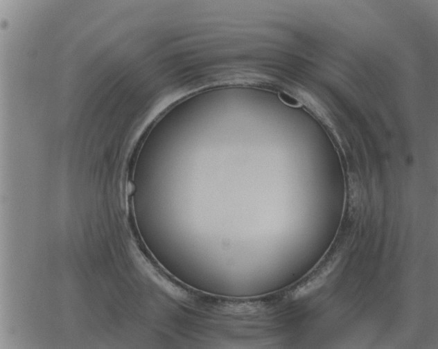 X0000062850843200601272039