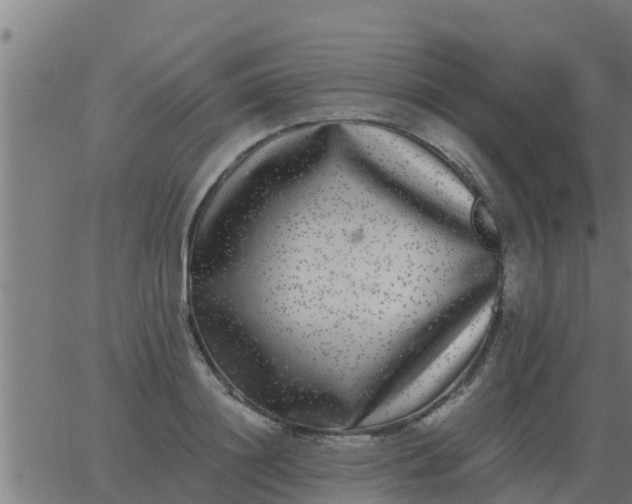 X0000062850844200601272039