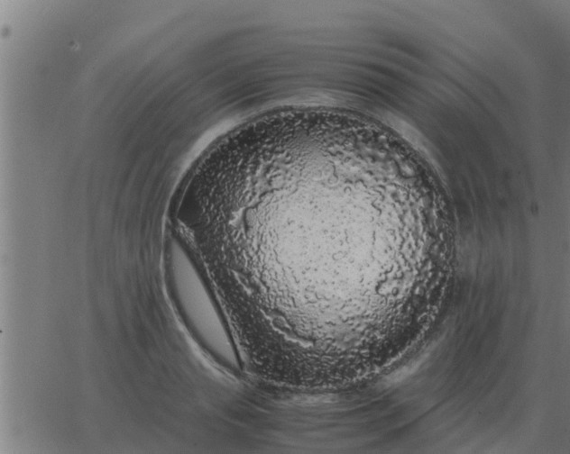 X0000062850845200601272039