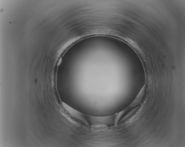 X0000062850846200601272039