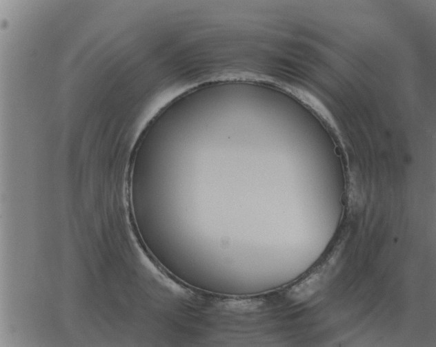 X0000062850847200601272039