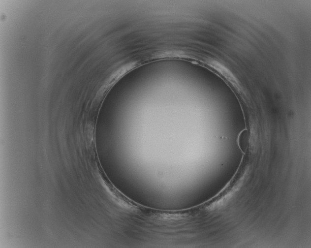 X0000062850849200601272039