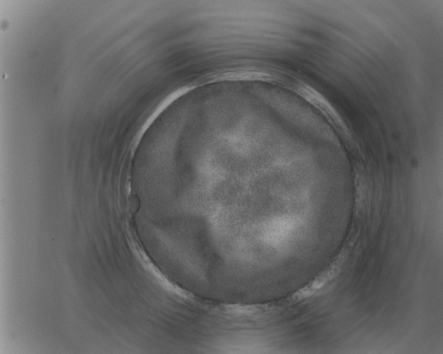 X0000062850852200601272039