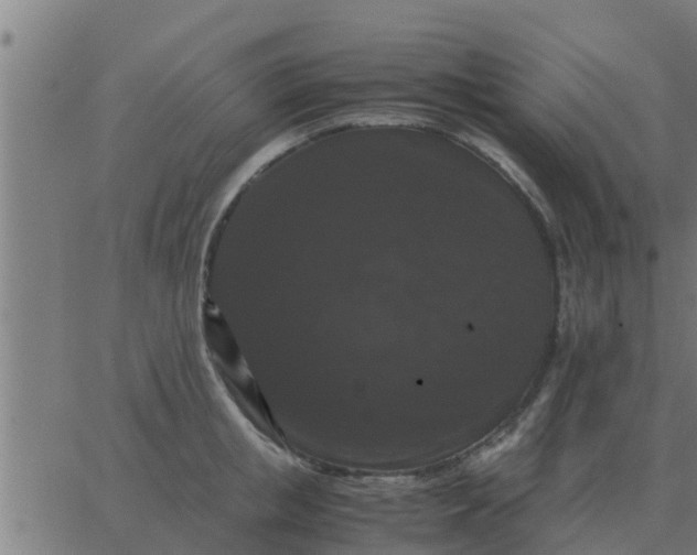 X0000062850853200601272039