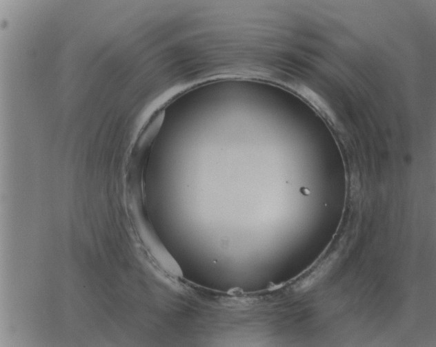 X0000062850854200601272039