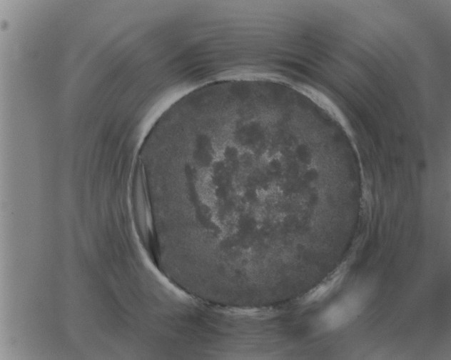 X0000062850855200601272039