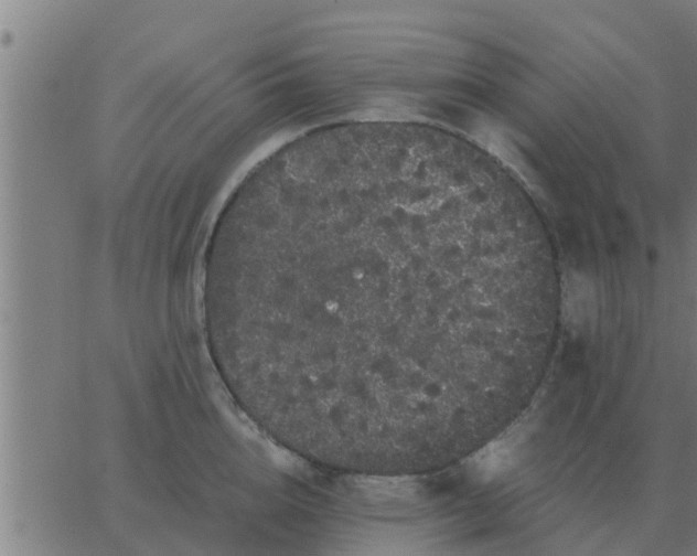 X0000062850856200601272039