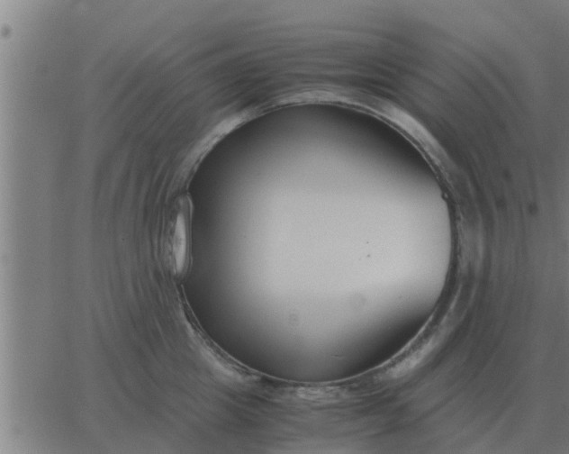 X0000062850857200601272039