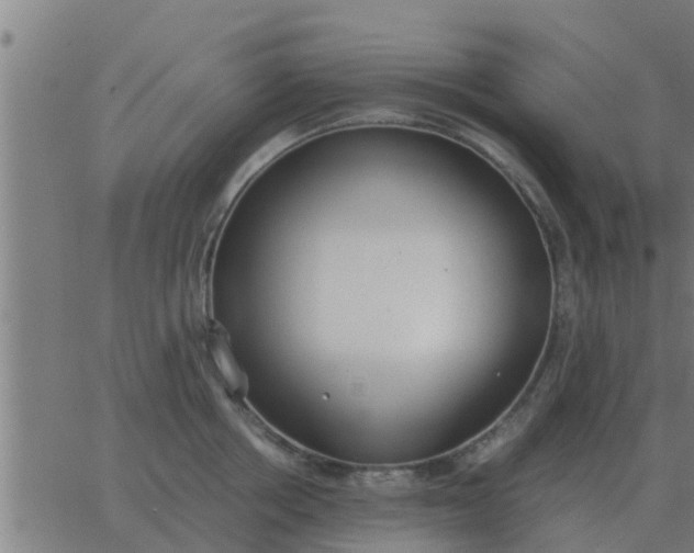 X0000062850858200601272039