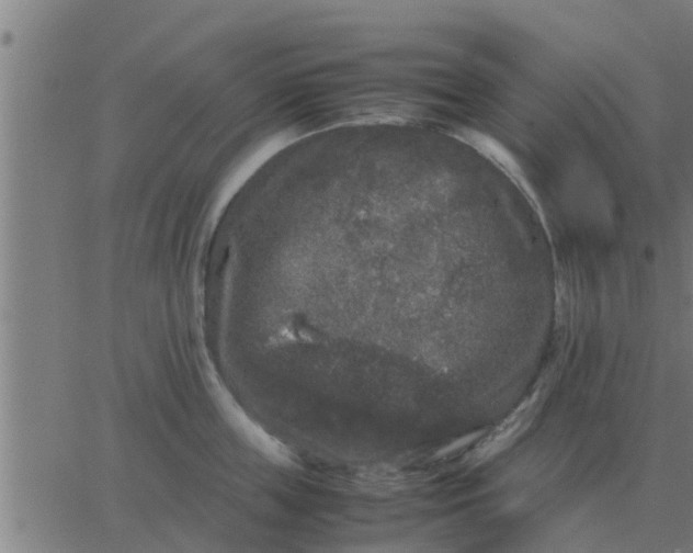 X0000062850859200601272039