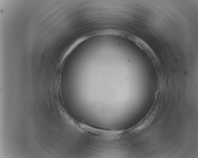 X0000062850860200601272039