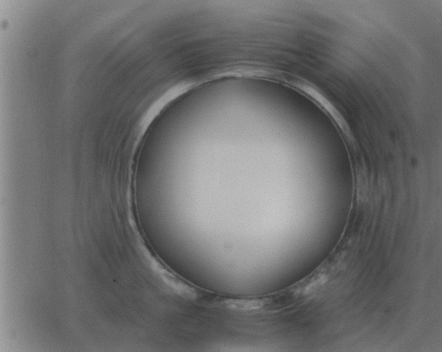 X0000062850861200601272039