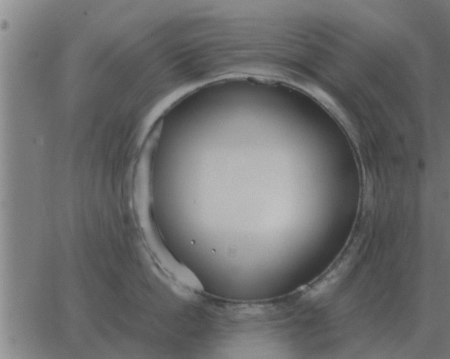 X0000062850862200601272039